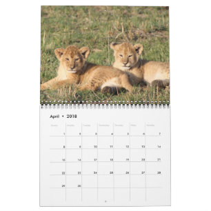 Calendario El animal acaricia destino del destino del amor de