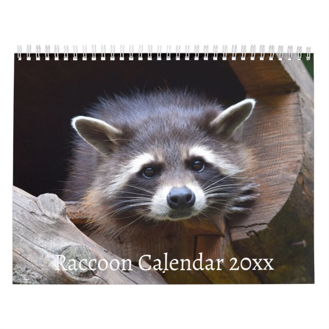 Calendario El animal del bosque de Raccoon (Tapa)