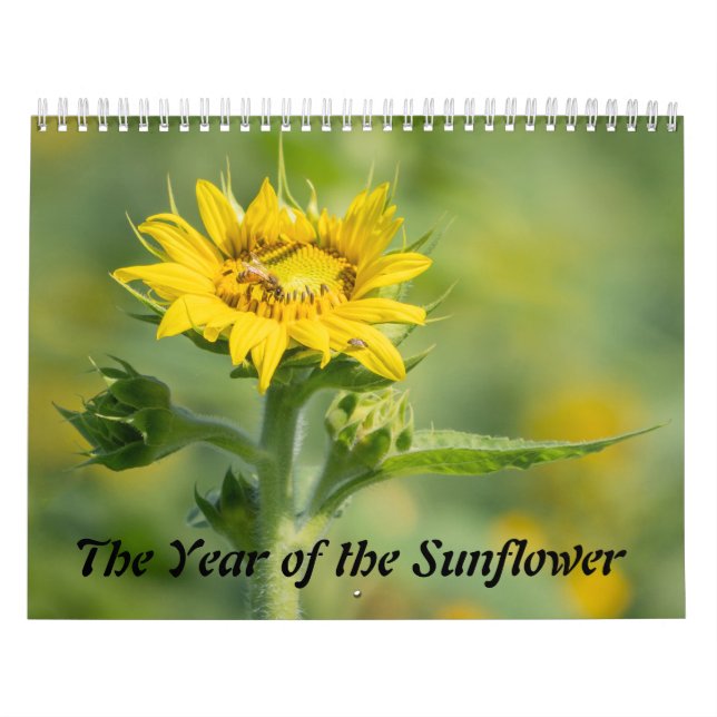 Calendario El año del girasol (Tapa)