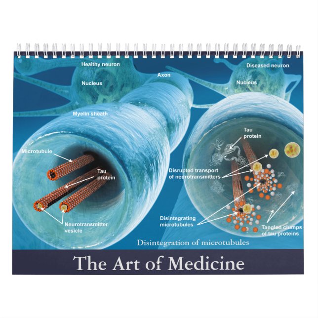 Calendario El arte de la medicina (Tapa)