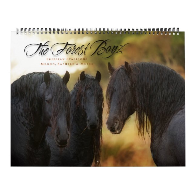 Calendario El Boyz Forestal - El amor fuerte (Tapa)