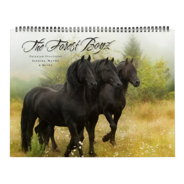 Calendario El Boyz Forestal - Libre en vivo (Tapa)