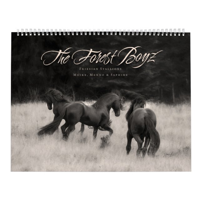 Calendario El Boyz Forestal - Salvaje (Tapa)