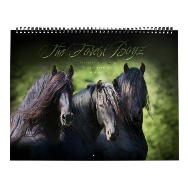 Calendario El Boyz Forestal - Viviendo el Sueño (Tapa)