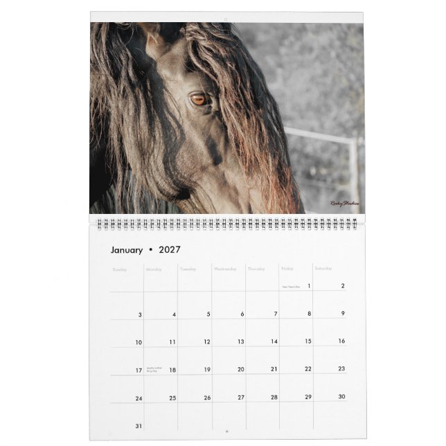 Calendario El frisio empluma 2015 (Jan 2027)