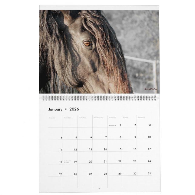 Calendario El frisio empluma 2015 (Jan 2026)