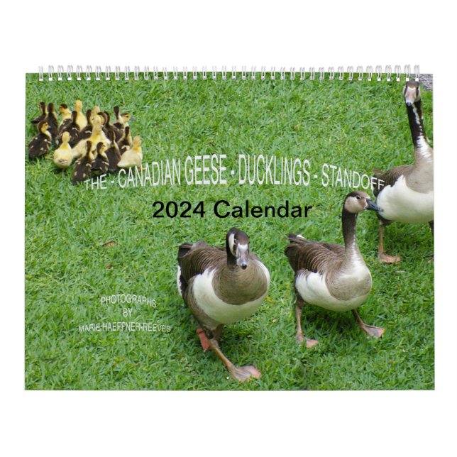 CALENDARIO EL *GEESE CANADIENSE* - *DUCKLINGS* STANDOFF 2024 (Tapa)