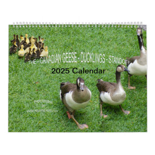 CALENDARIO EL *GEESE CANADIENSE* - *DUCKLINGS* STANDOFF 2025