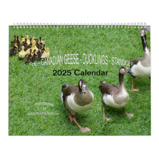 CALENDARIO EL *GEESE CANADIENSE* - *DUCKLINGS* STANDOFF 2025