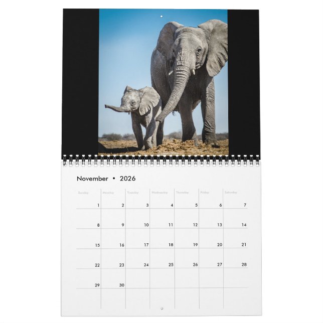 Calendario El Giants más pequeño (Nov 2026)