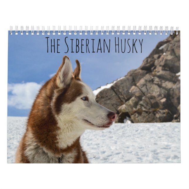 Calendario El Husky Siberiano (Tapa)