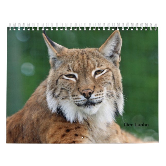 Calendario El lince (Tapa)