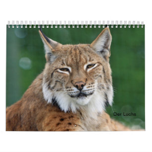 Calendario El lince