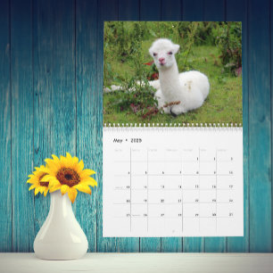 Calendario El Llama y Alpaca Cualquier año personalizado