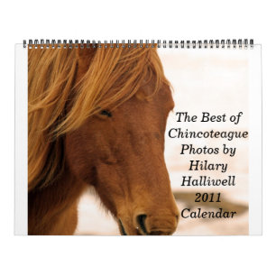 Calendario El mejor de ChincoteaguePhotos por Hilar…