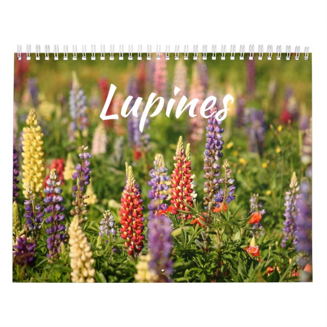 Calendario El mundo de los Lupines (Tapa)