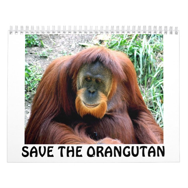 Calendario el orangután, AHORRA EL ORANGUTÁN (Tapa)