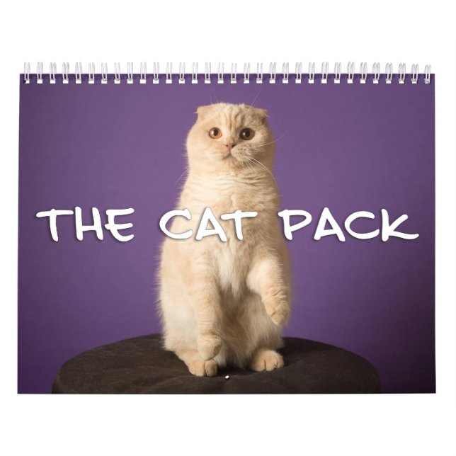 Calendario El paquete del gato (Tapa)