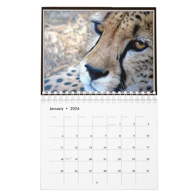 Calendario El pequeño animal salvaje hace frente al (Jan 2026)