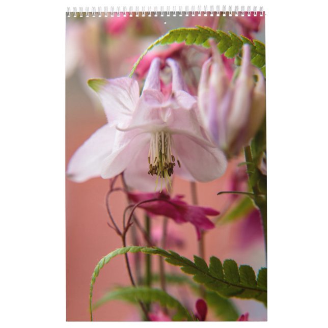 Calendario El poder de la flor (Tapa)