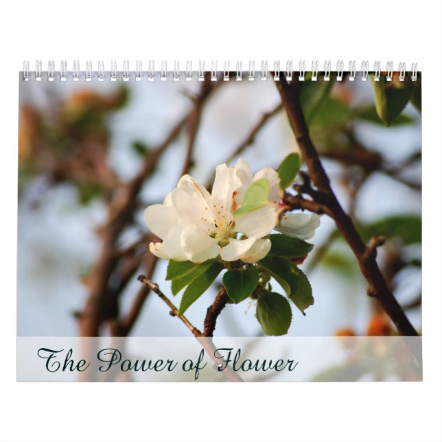 Calendario El poder de la flor (Tapa)