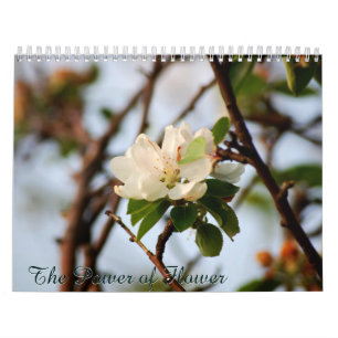 Calendario El Poder de la Flor