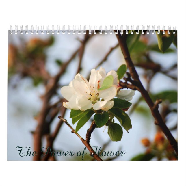 Calendario El Poder de la Flor (Tapa)