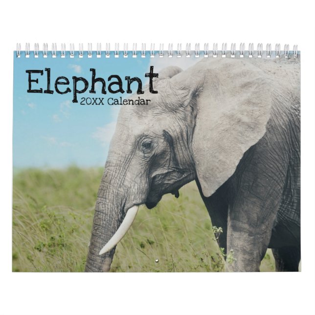 Calendario Elefante (Tapa)