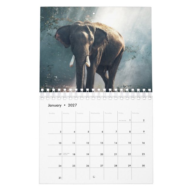 Calendario Elefante (Jan 2027)