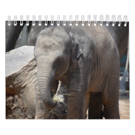 Calendario Elefante