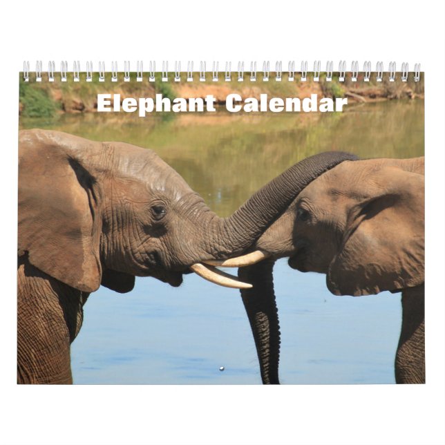 Calendario Elefante 2025 (Tapa)
