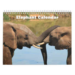 Calendario Elefante 2027