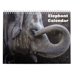Calendario Elefante 2027