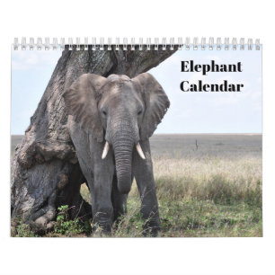 Calendario Elefante 2027 