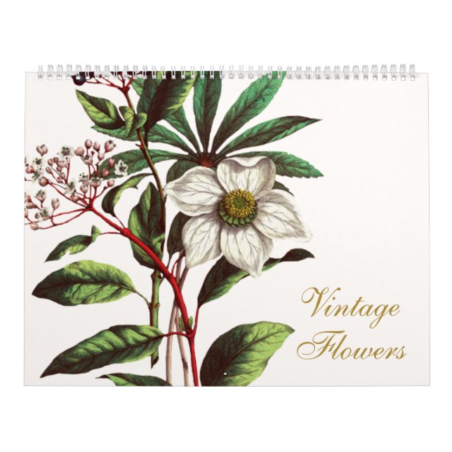 Calendario Elegante Ilustracion de flores botánicas vintage (Tapa)