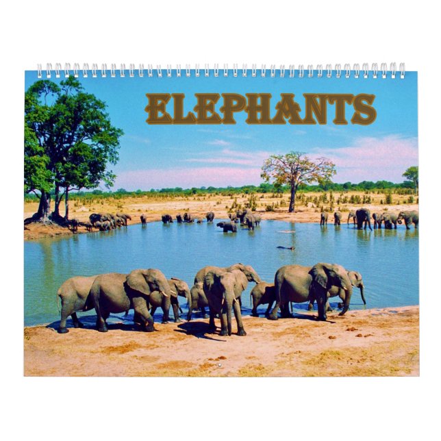 Calendario elephants  (Tapa)