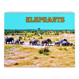 Calendario  elephants