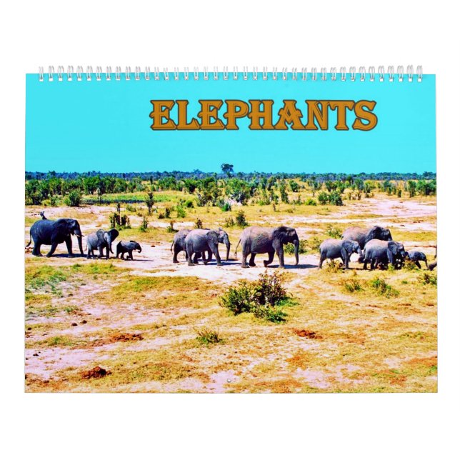 Calendario  elephants (Tapa)