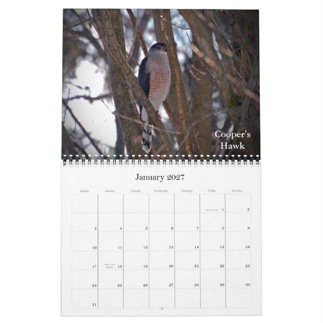 Calendario Elevación a las nuevas alturas (Jan 2027)