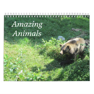 Calendario Encantadores Animales Salvajes en la Naturaleza 
