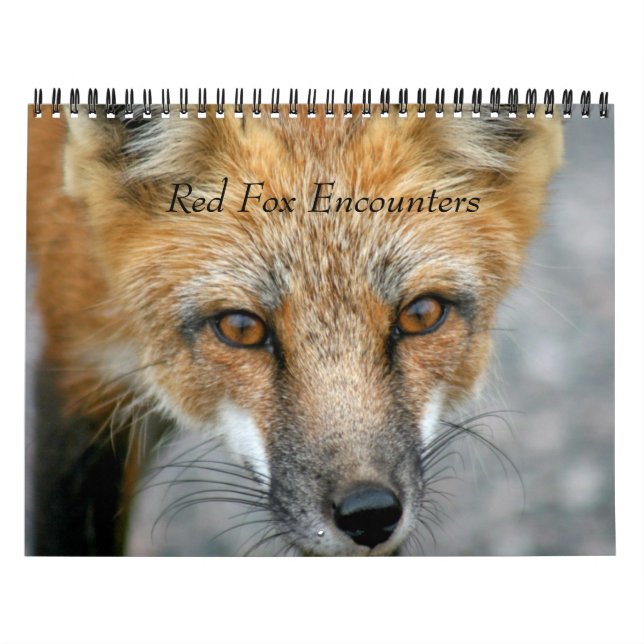 Calendario Encuentros de Red Fox (Tapa)