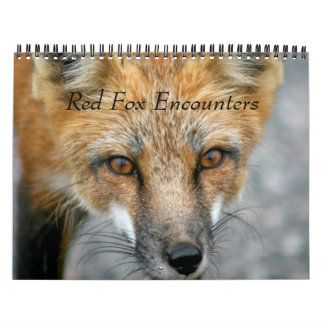 Calendario Encuentros de Red Fox