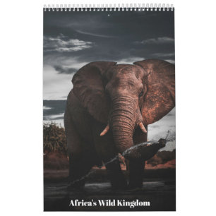 Calendario Encuentros en el Reino Salvaje de África, Calendar