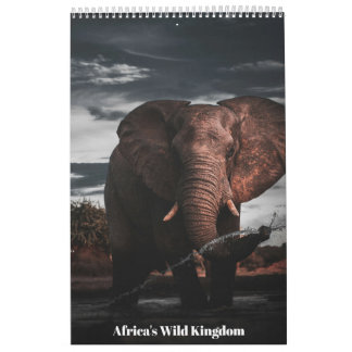 Calendario Encuentros en el Reino Salvaje de África, Calendar