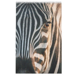 Calendario Encuentros en el reino salvaje de África, Calendar