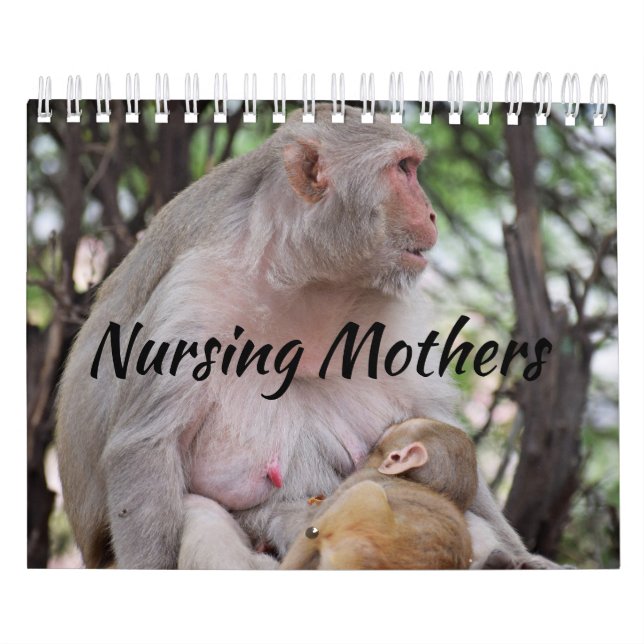 Calendario Enfermería Madres Animales (Tapa)