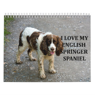 Calendario English Springer Spaniel