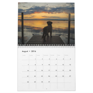 Calendario Equipo Joey Jax 2016