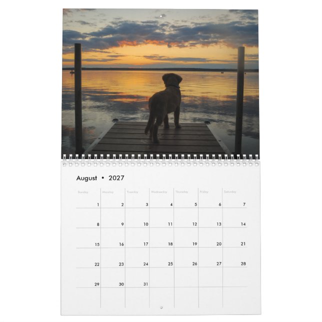 Calendario Equipo Joey Jax 2016 (Aug 2027)