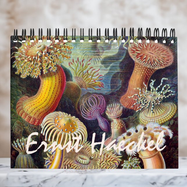 Calendario Ernst Haeckel, biología, botánica, ciencia (Ernst Haeckel Calendar)